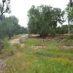 Trullo Zappa D'argento In Salento アパート *
