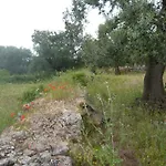 アパート Trullo Zappa D'argento In Salento