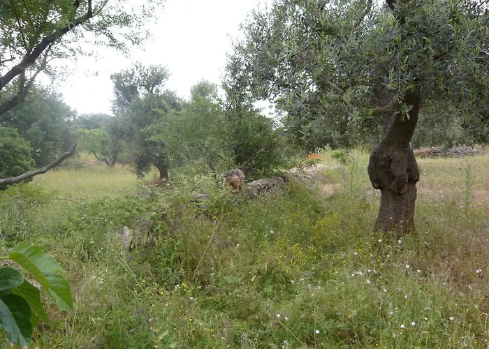 Daire Trullo Zappa D'argento In Salento Francavilla Fontana